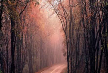 葡萄牙队备战欧洲杯，球迷期待他们表现出色