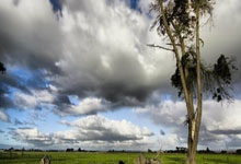 克雷尔集体勇往直前，绝地逆袭取得胜利