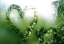 西班牙队瞄准欧洲杯，备战之际充满信心