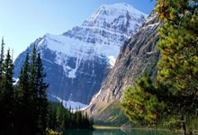 东亚球队在国际比赛中夺得胜利颂