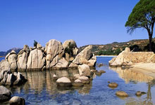 泰国羽毛球选手倾尽全力，为国争光